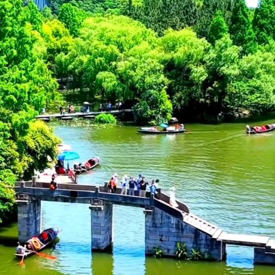 饭搭子(香香公主)