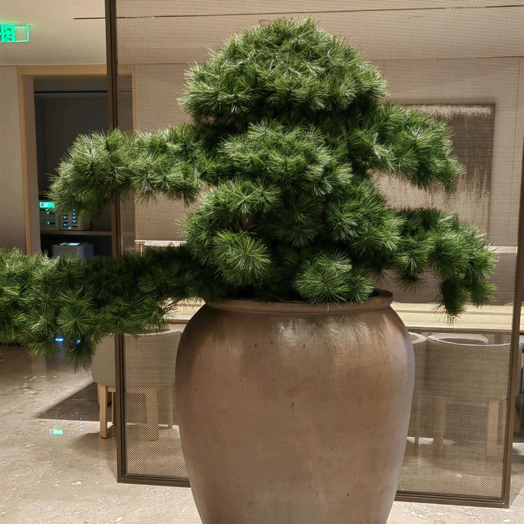 意中人