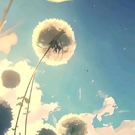 合肥北城蔬菜水果招商部5