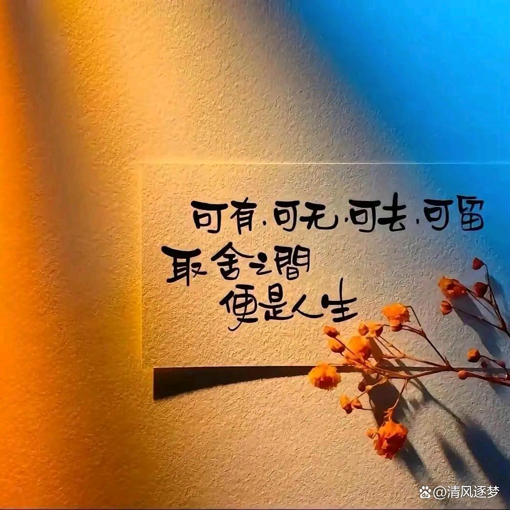 金灿灿
