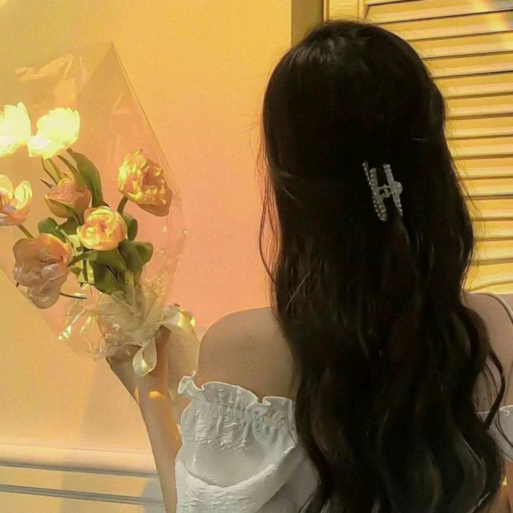 皖芯
