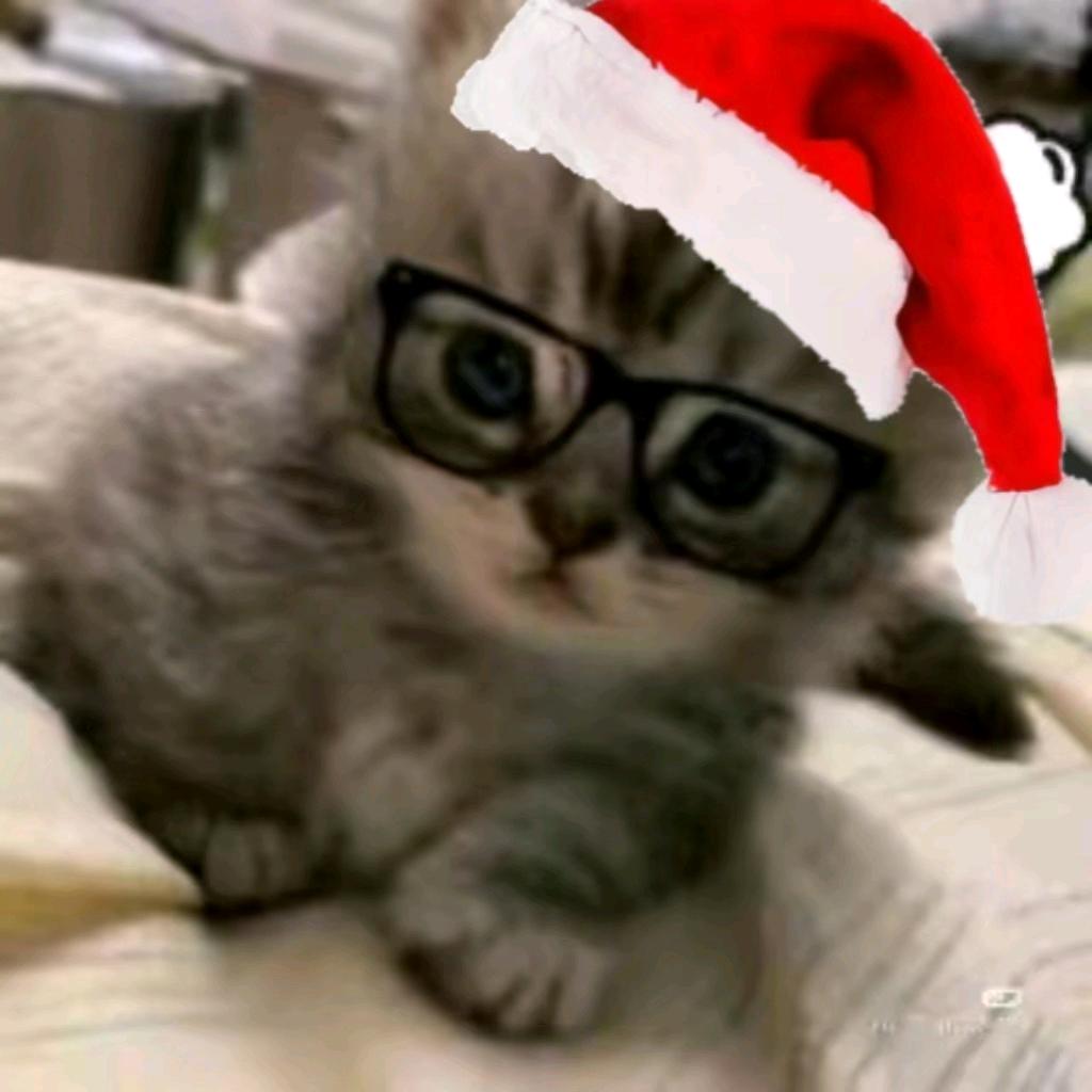 可乐罐头（超自然行动组）