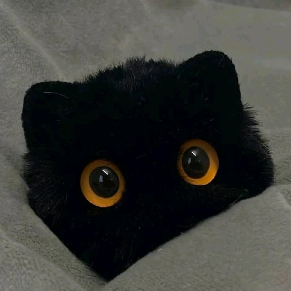勿念（斗罗大陆猎魂世界）