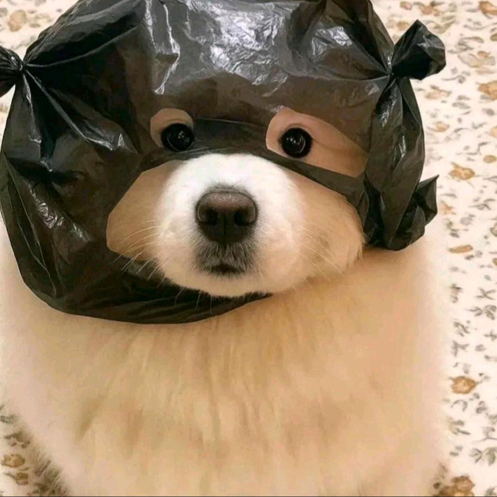 靠脸吃饭倒贴10万（不去）