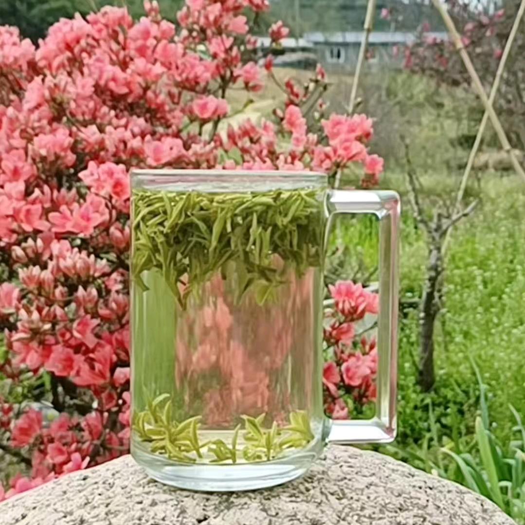 召云兰香茶叶直邮