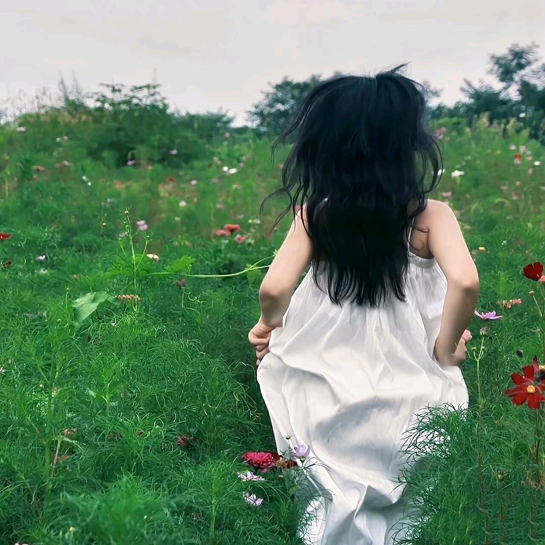 麋鹿找不到回家的路