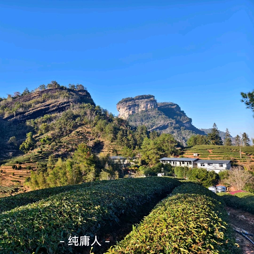 启航🎤
