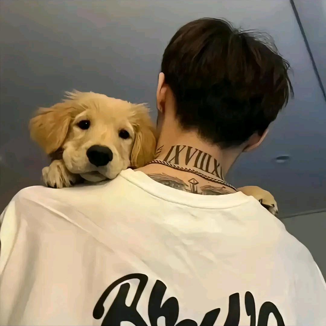 知雾
