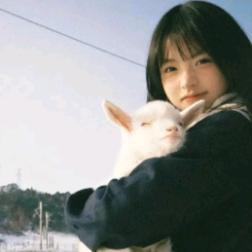 小咩羊~
