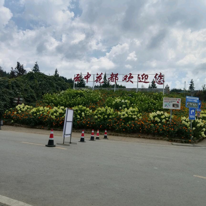 我只爱我老婆。