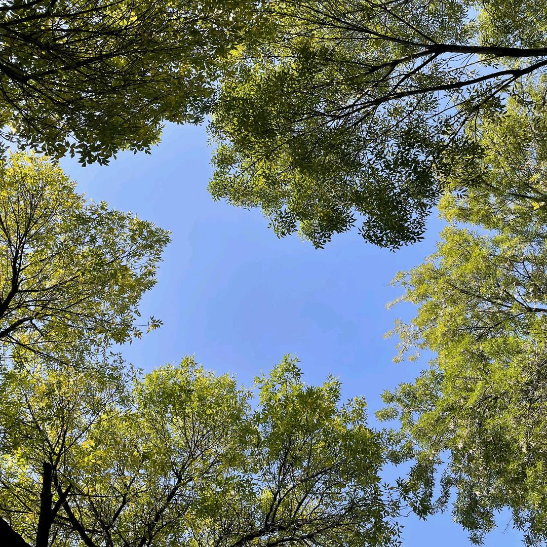 一闪一闪亮晶晶满眼都是小星星