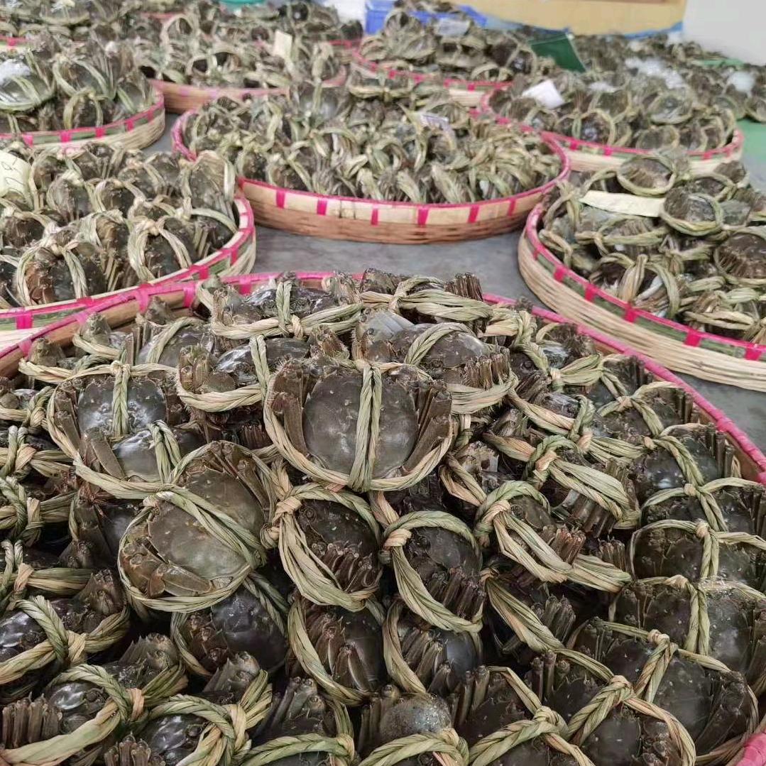 大闸蟹