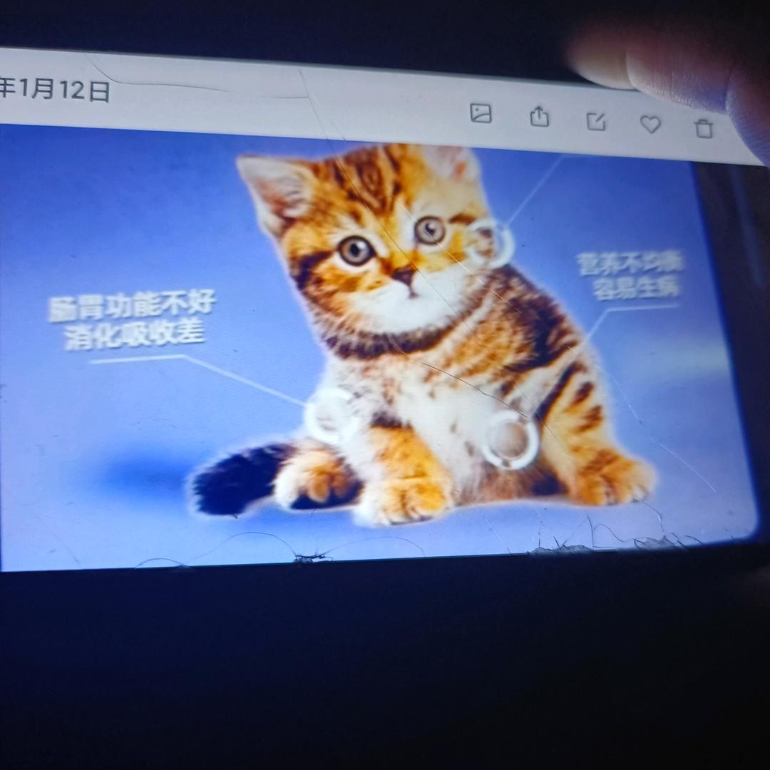 付继松101