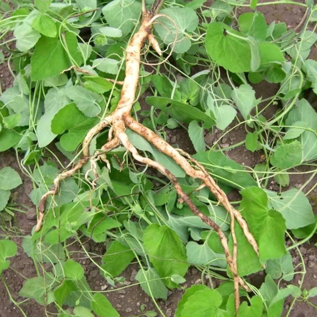 𒐫𒐫𒐫 𒐫𒐫 𒐫𒐫𒐫𒐫