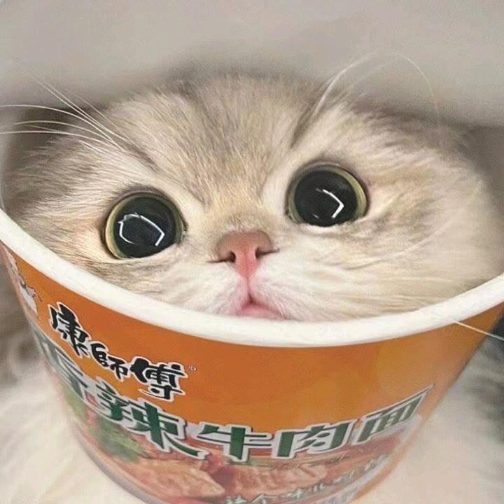 dy2m0xyo5vj6