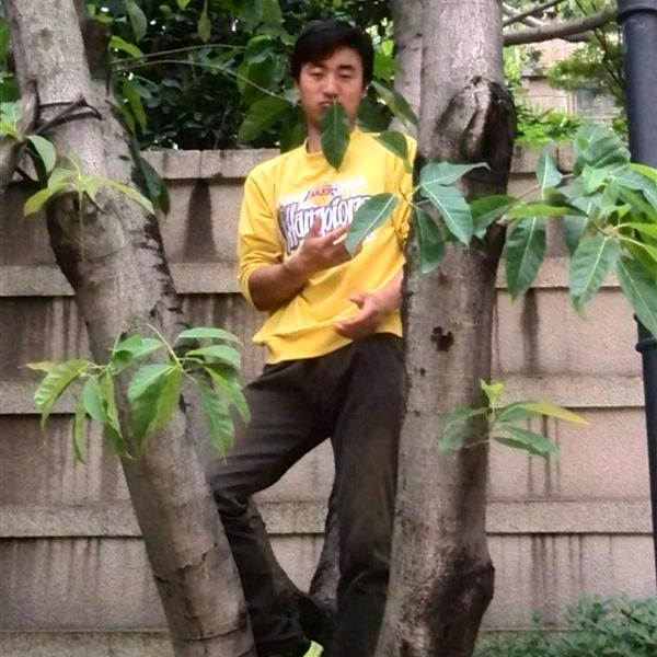 浮云游子意，落日故人情