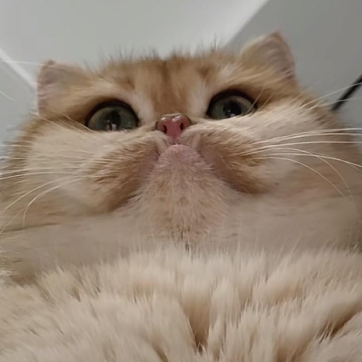 不畏浮云遮望眼