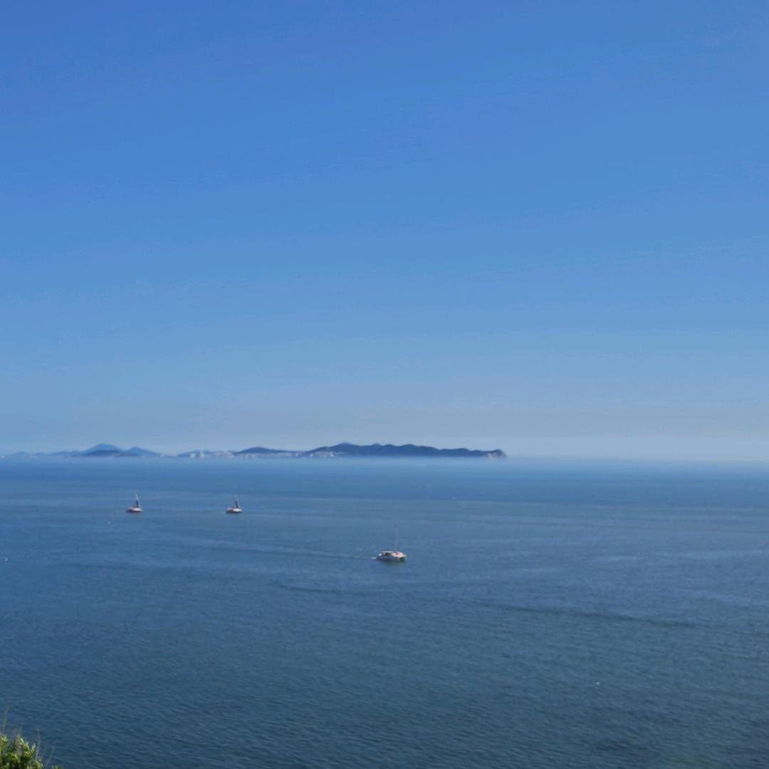 顺其自然🌞