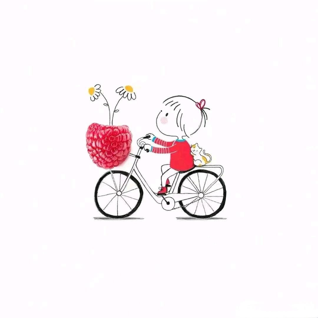 🎀 1 1 。