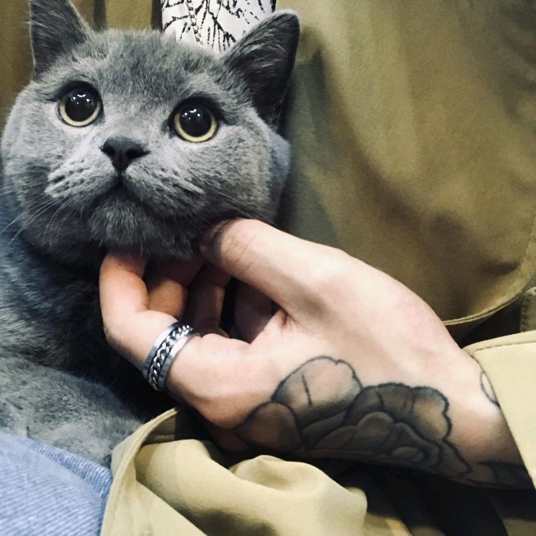 悱恻
