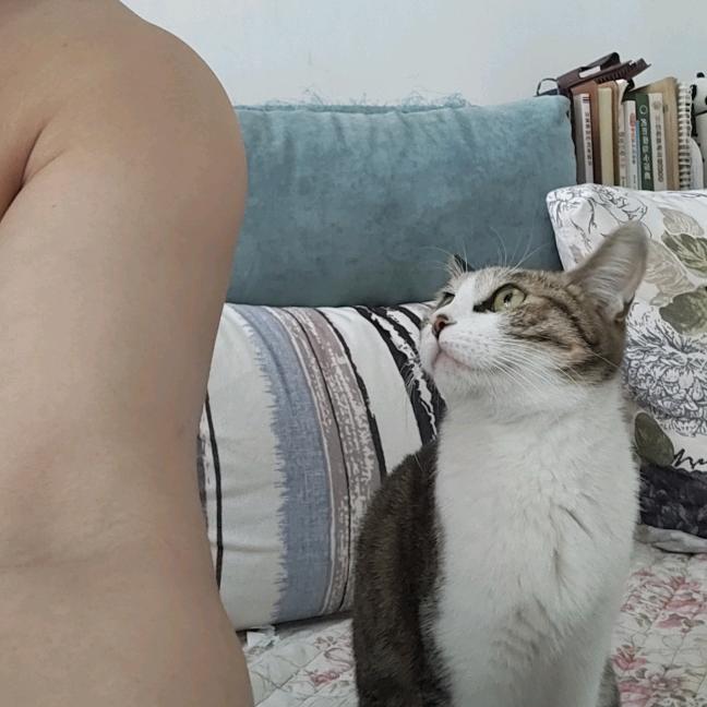 路人甲