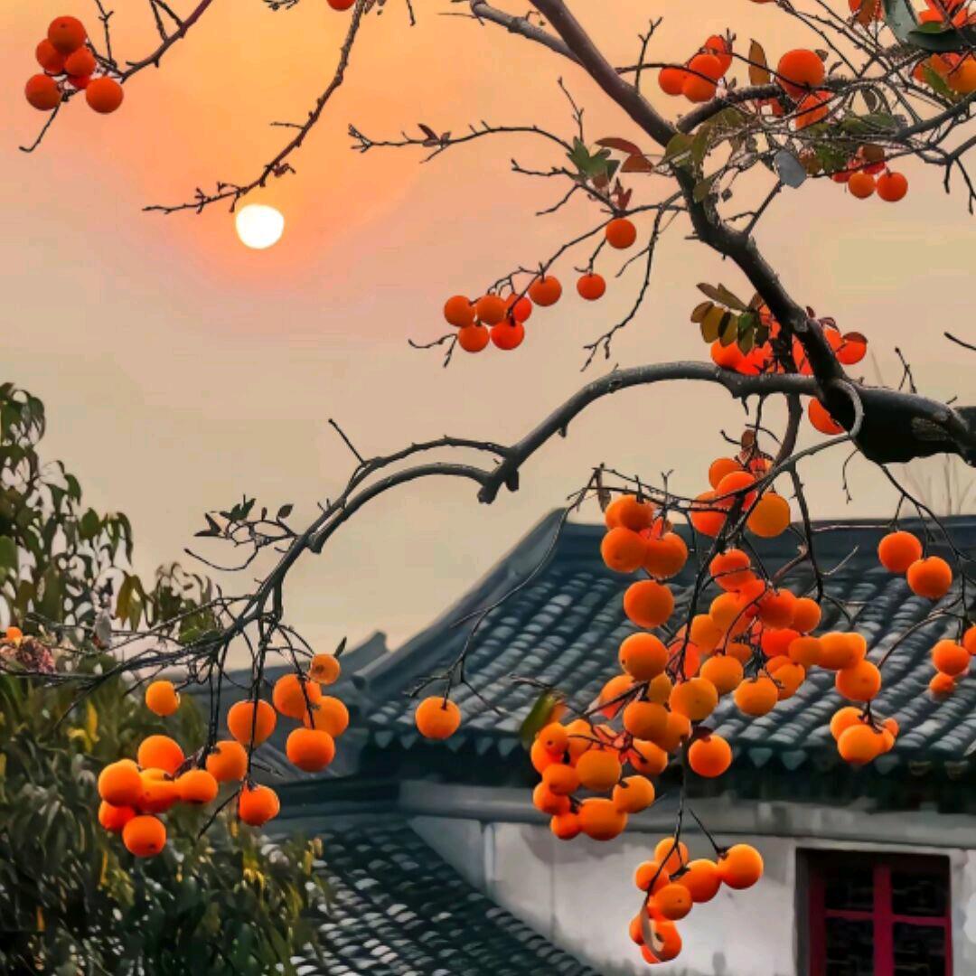 知足常乐