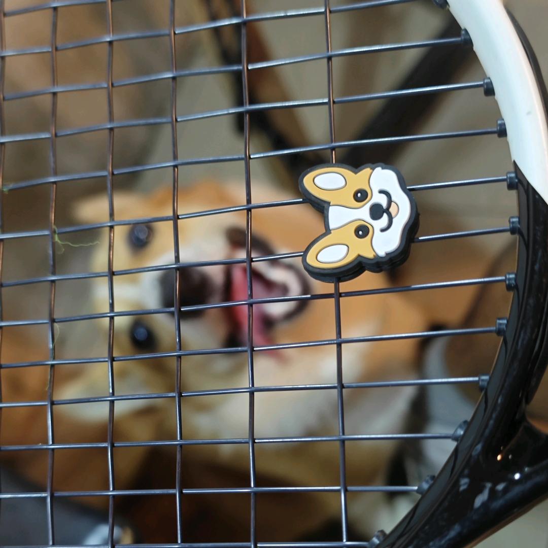 网球牛马🎾 蒋