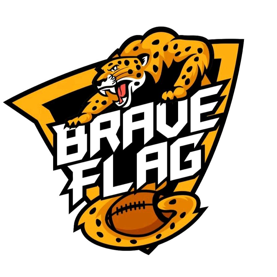 重庆灵橄体育文化发展有限公司