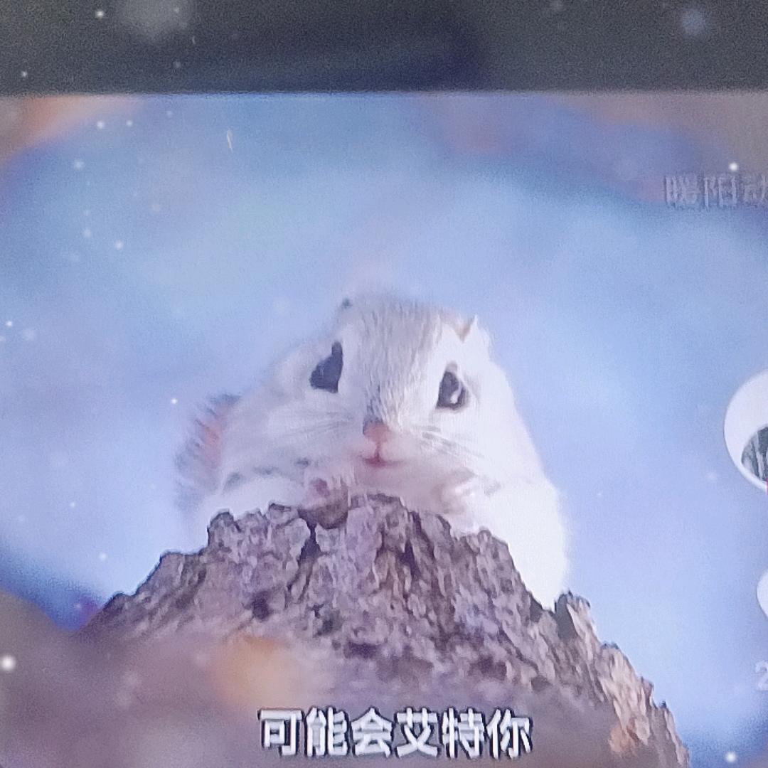 阿雪