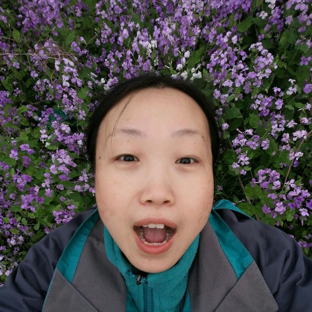 多米（直播筹备中）