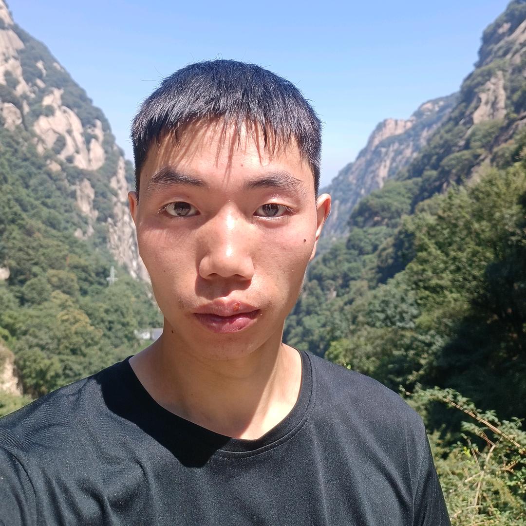树枝上