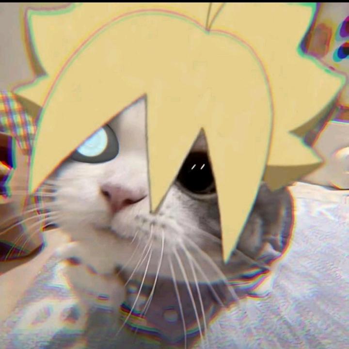 小猫你可以吃芝士汉堡