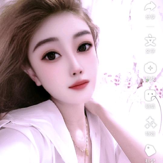 娇艳的玫瑰