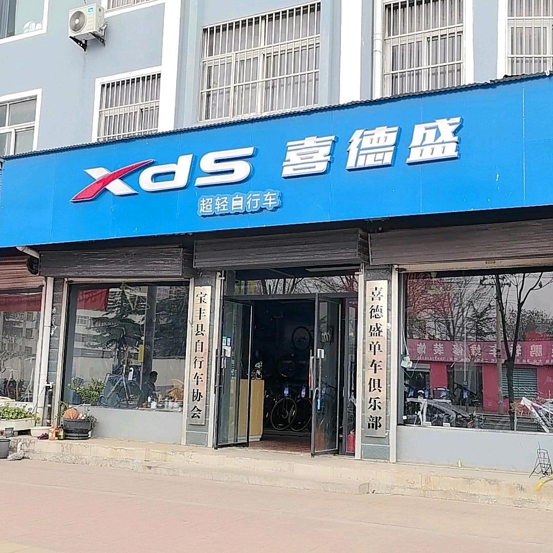 宝丰喜德盛君文路店（送货上门）