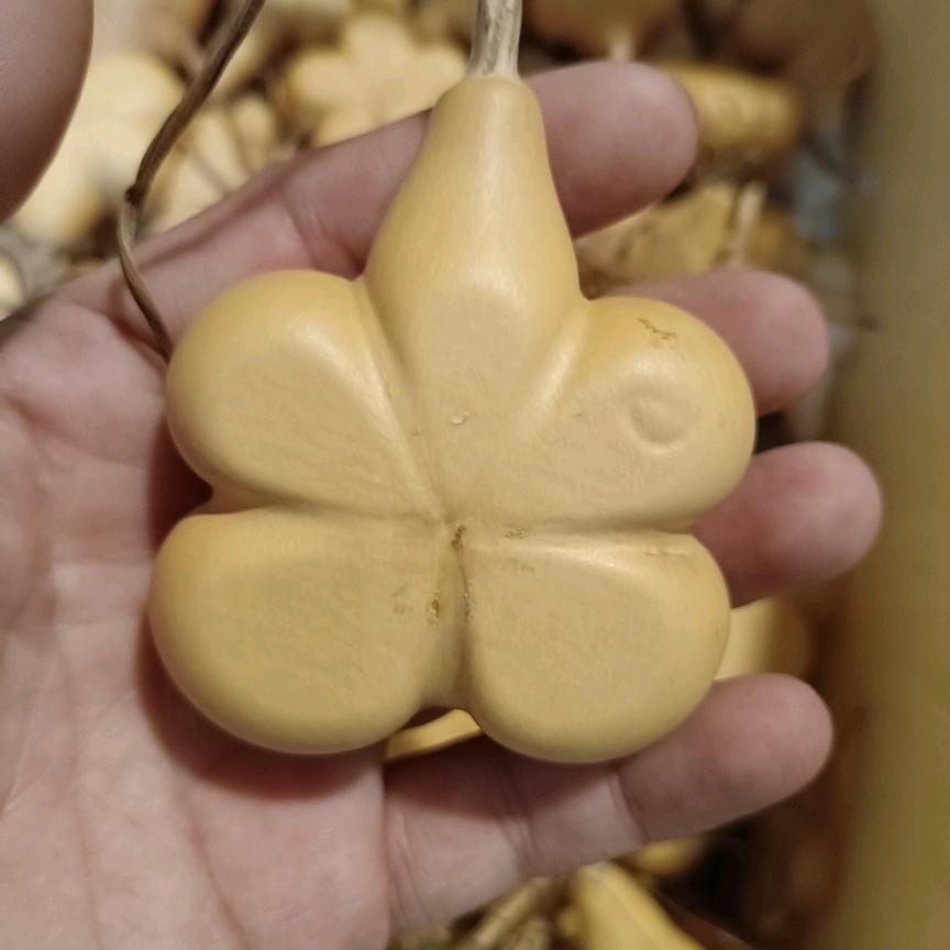 柒壹葫芦