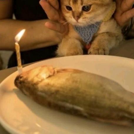 同桌你好