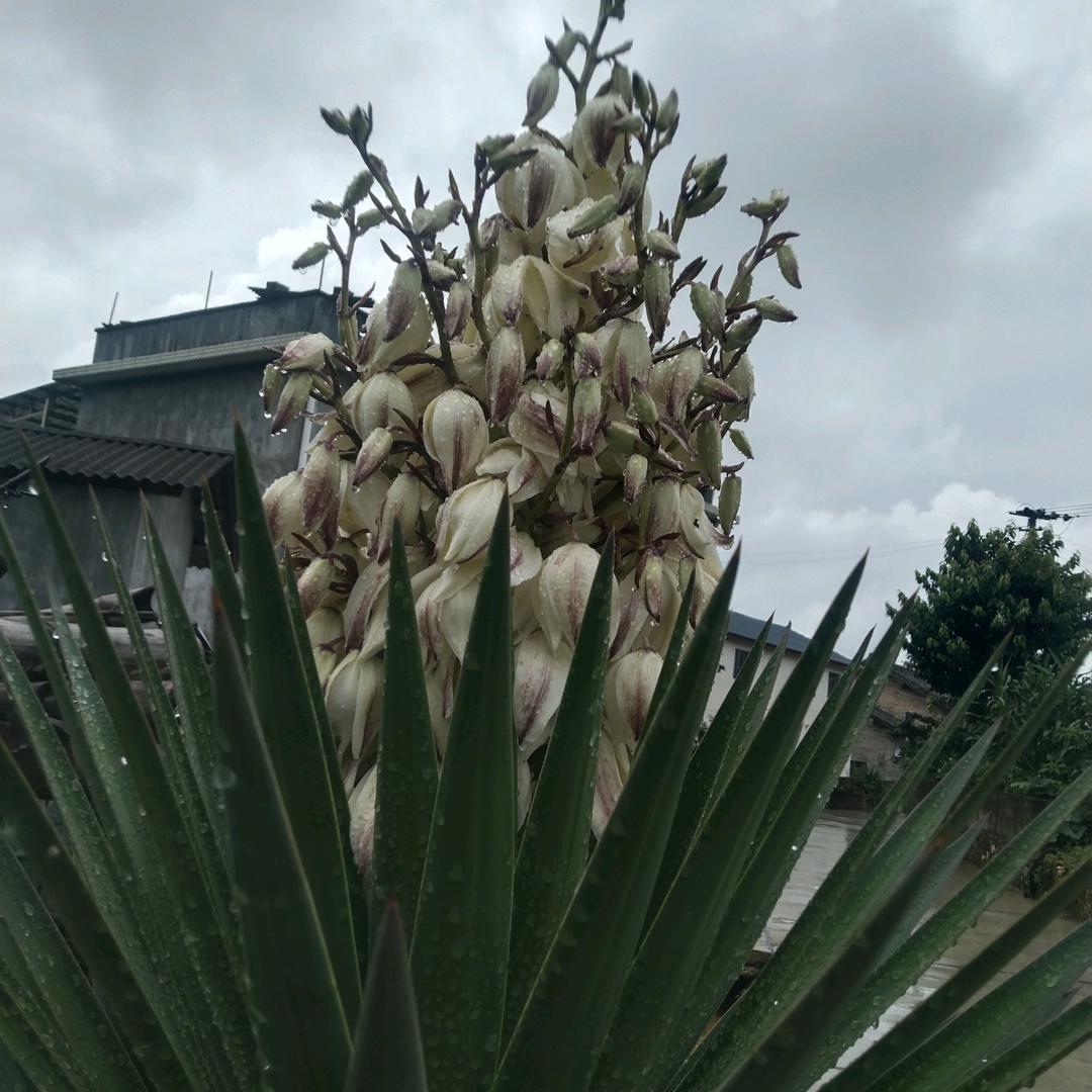 往后余生不再将就