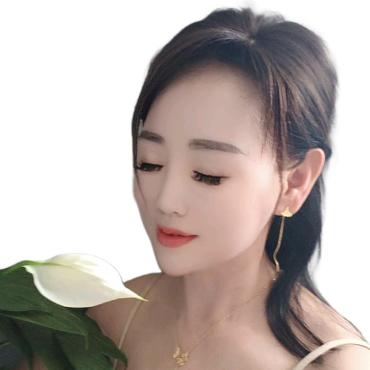 宋智安