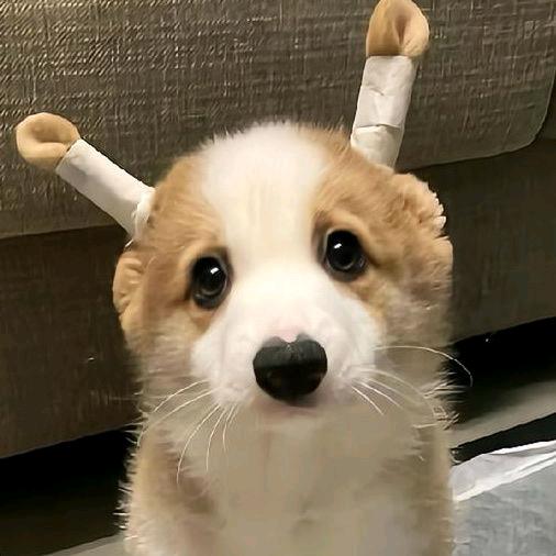 魔鬼