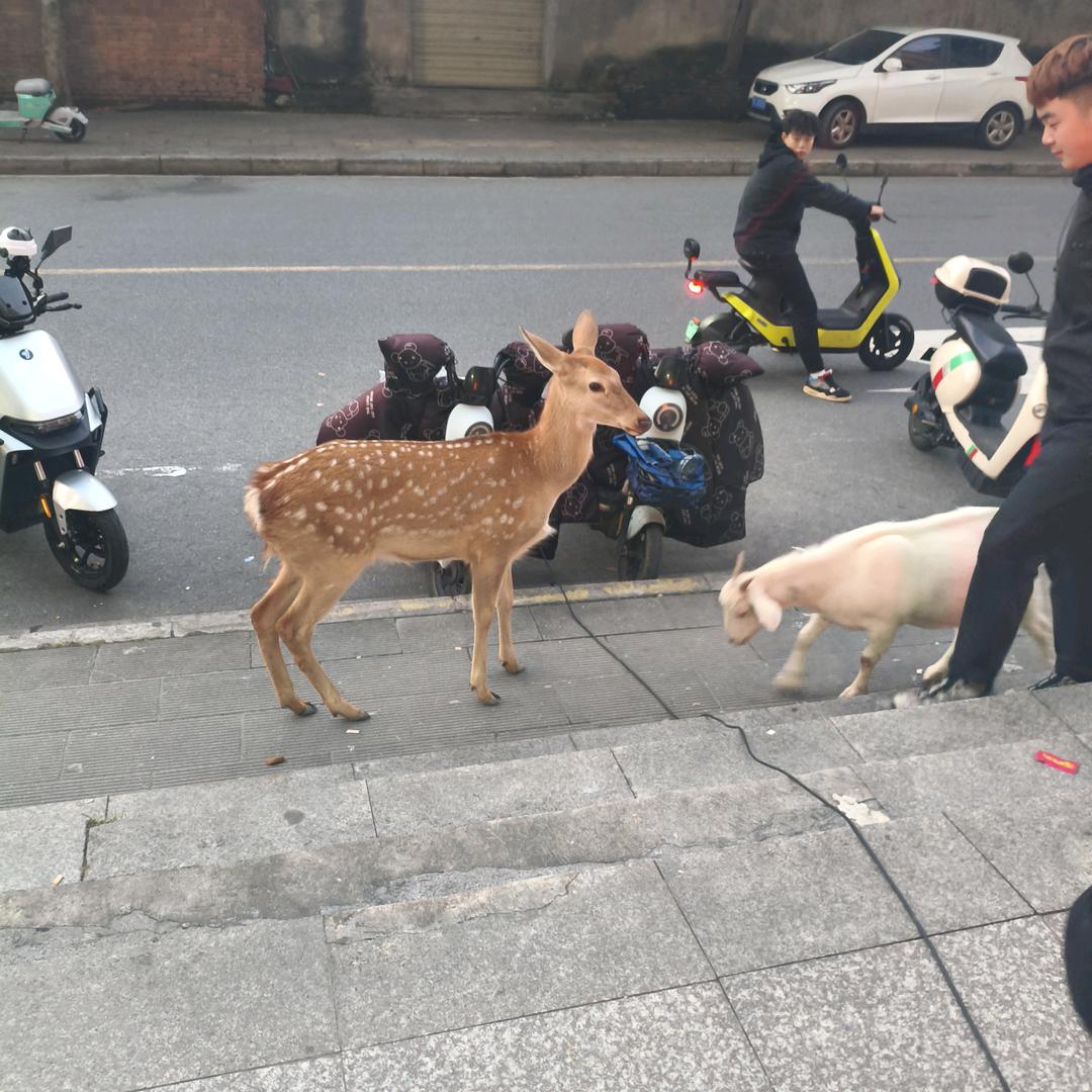 吃饱等饿的骑手！！