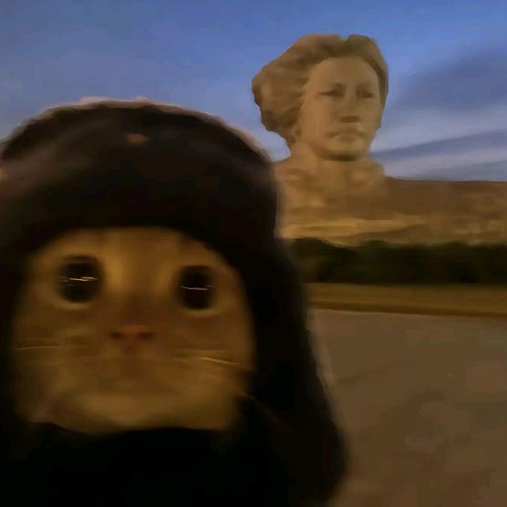 半岛铁锅 ૮₍˃̶ꇴ˂̶₎ა