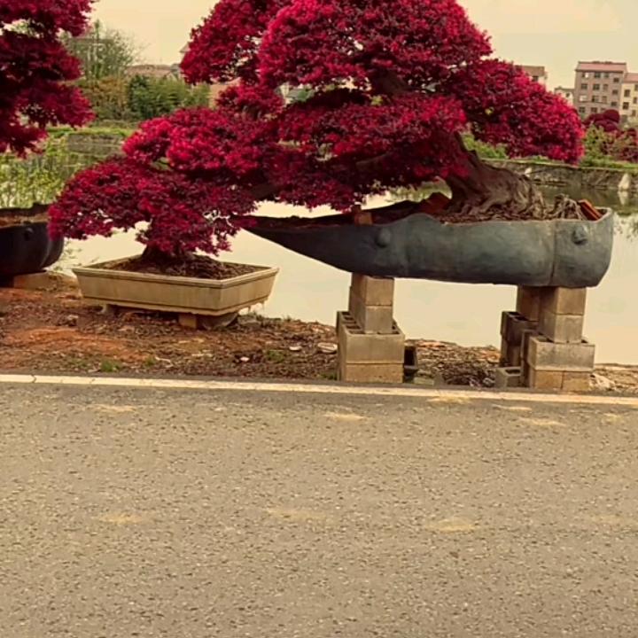 相信自己不亏欠别人