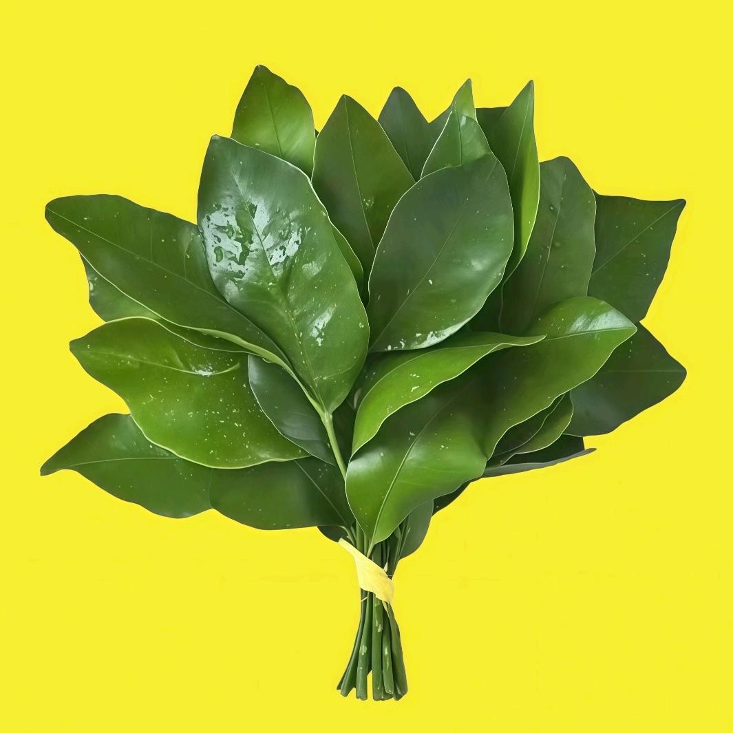 洗离谱