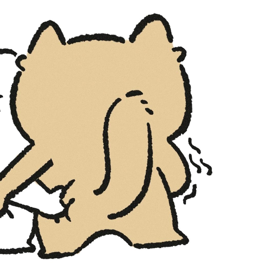 东巷那只猫
