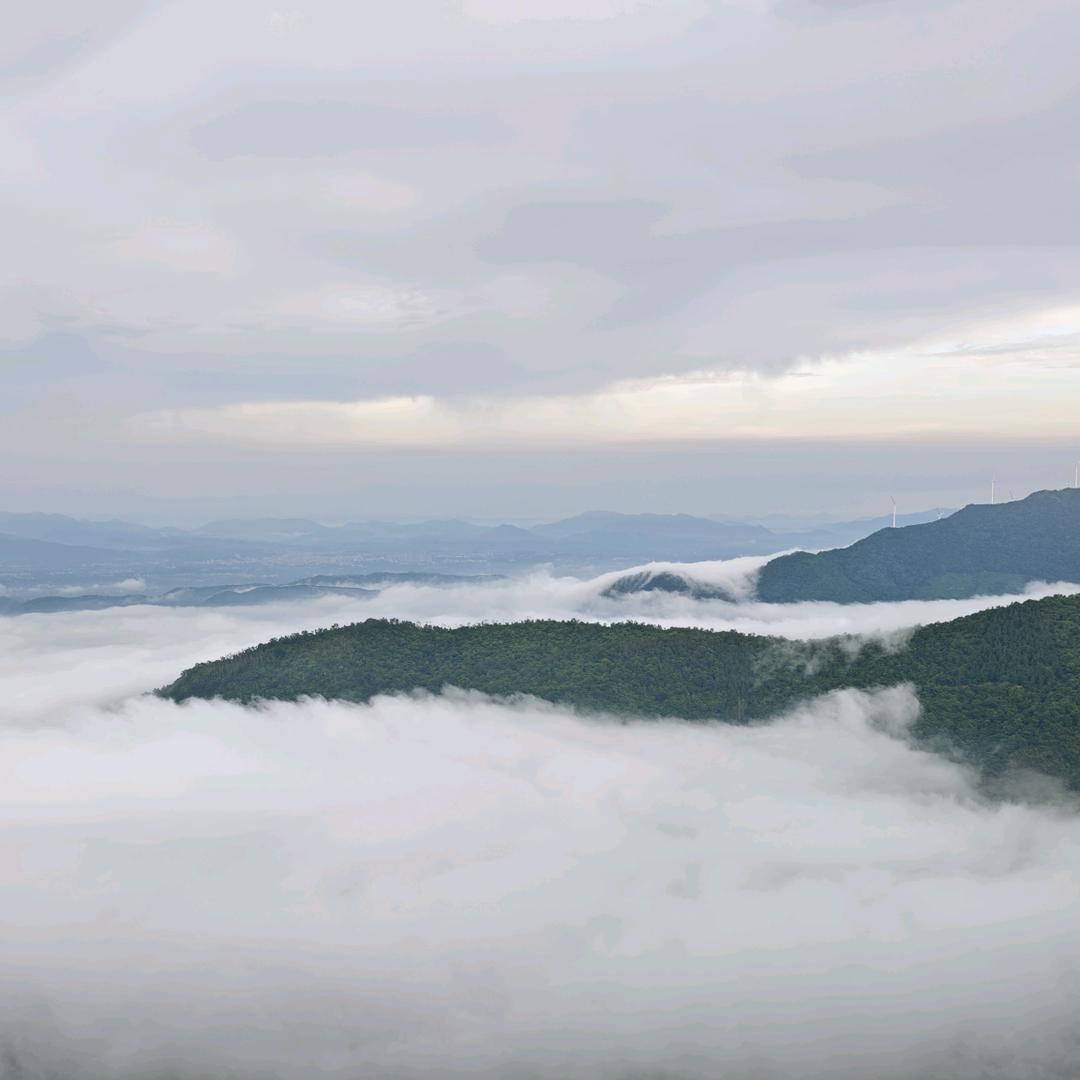 小小