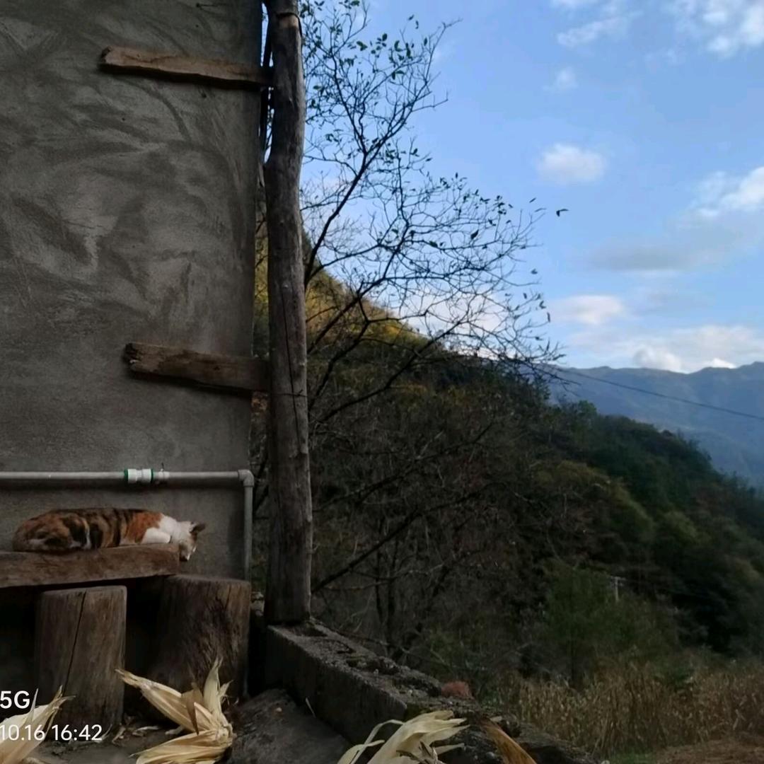 小孩一直富有呢