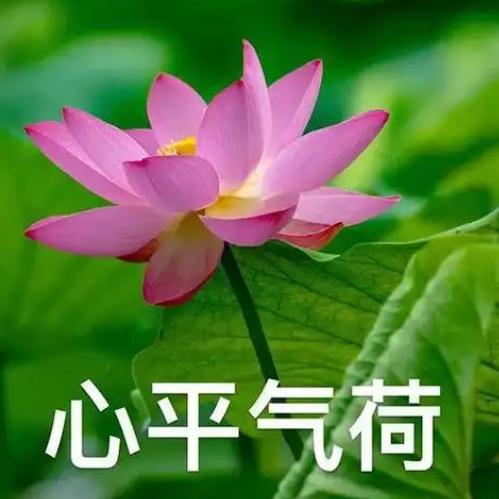 婷姐维修（私找我会回）