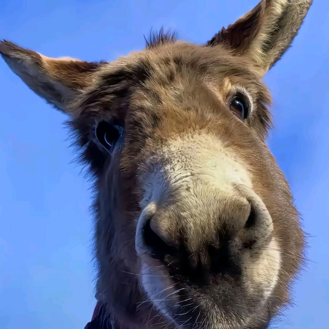 屿澜洲（重庆）网络科技有限责任公司