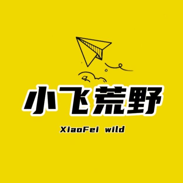 小飞荒野