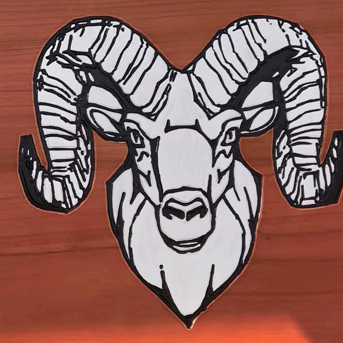 福禄寿庆阳羊肉馆环县毛井山羊肉